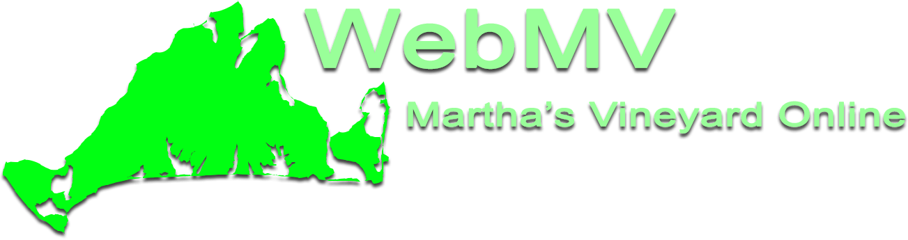 webmv.com